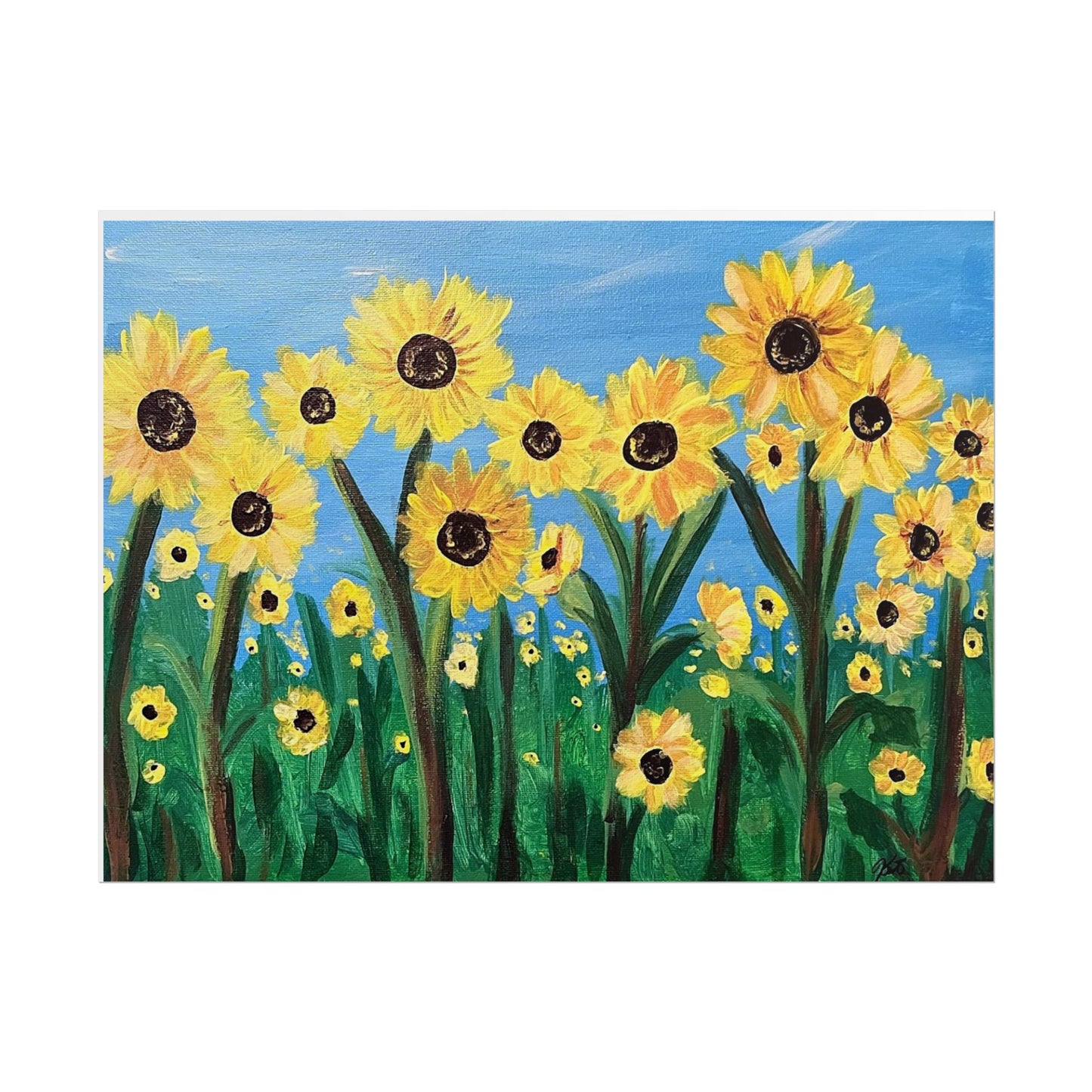 Imprimé - Champs de tournesols