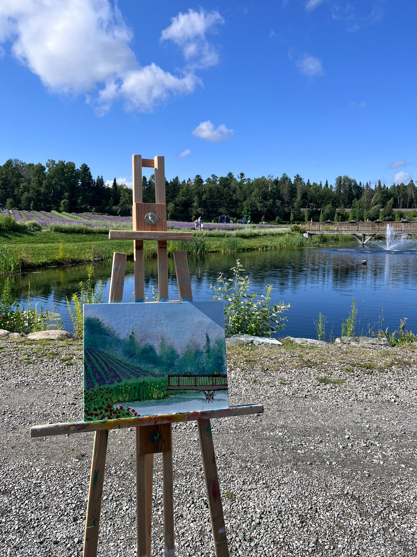 JUILLET 2026 | Peinture dans un champ de LavandeđȘ»