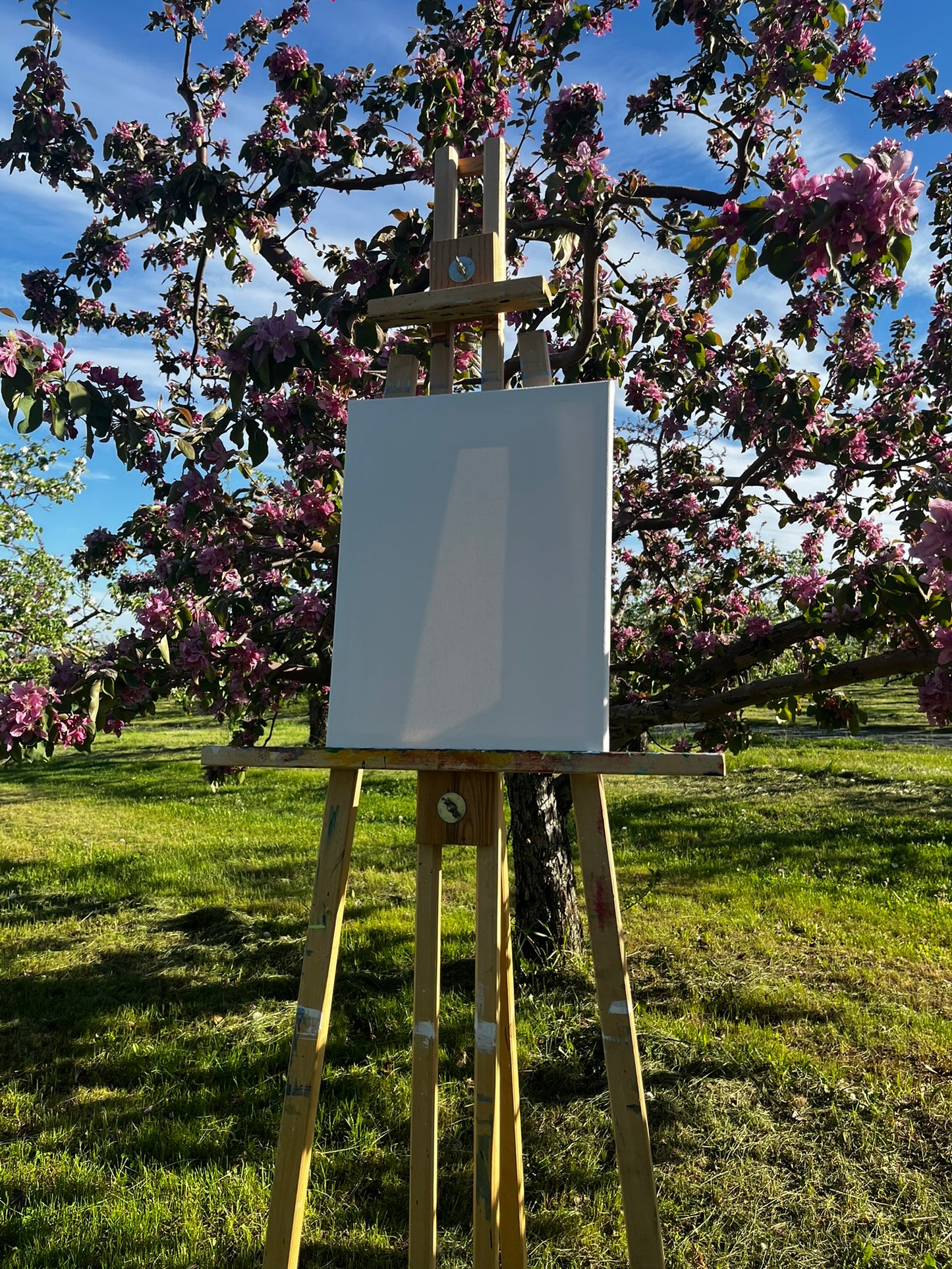 MAI | Peinture dans un Verger en Fleurs🌸(terminé)