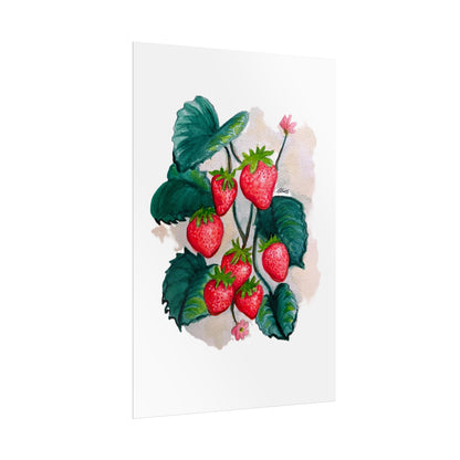 Rolled Posters - Strawberries