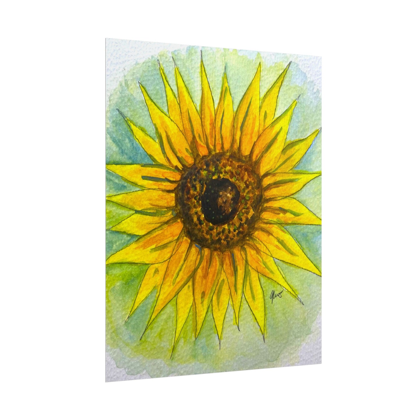 Rolled Posters - Sunflower