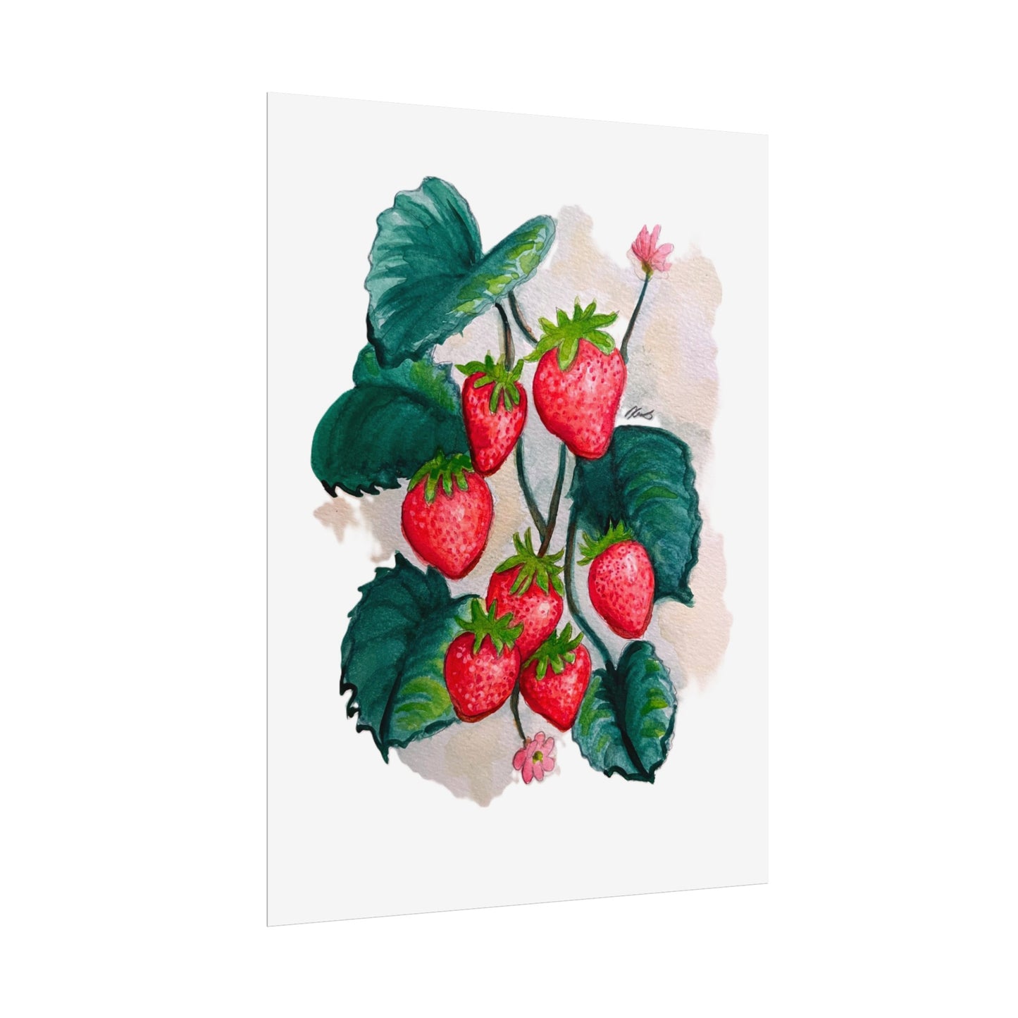 Rolled Posters - Strawberries