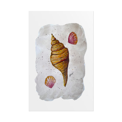 Rolled Posters - Sea Shells