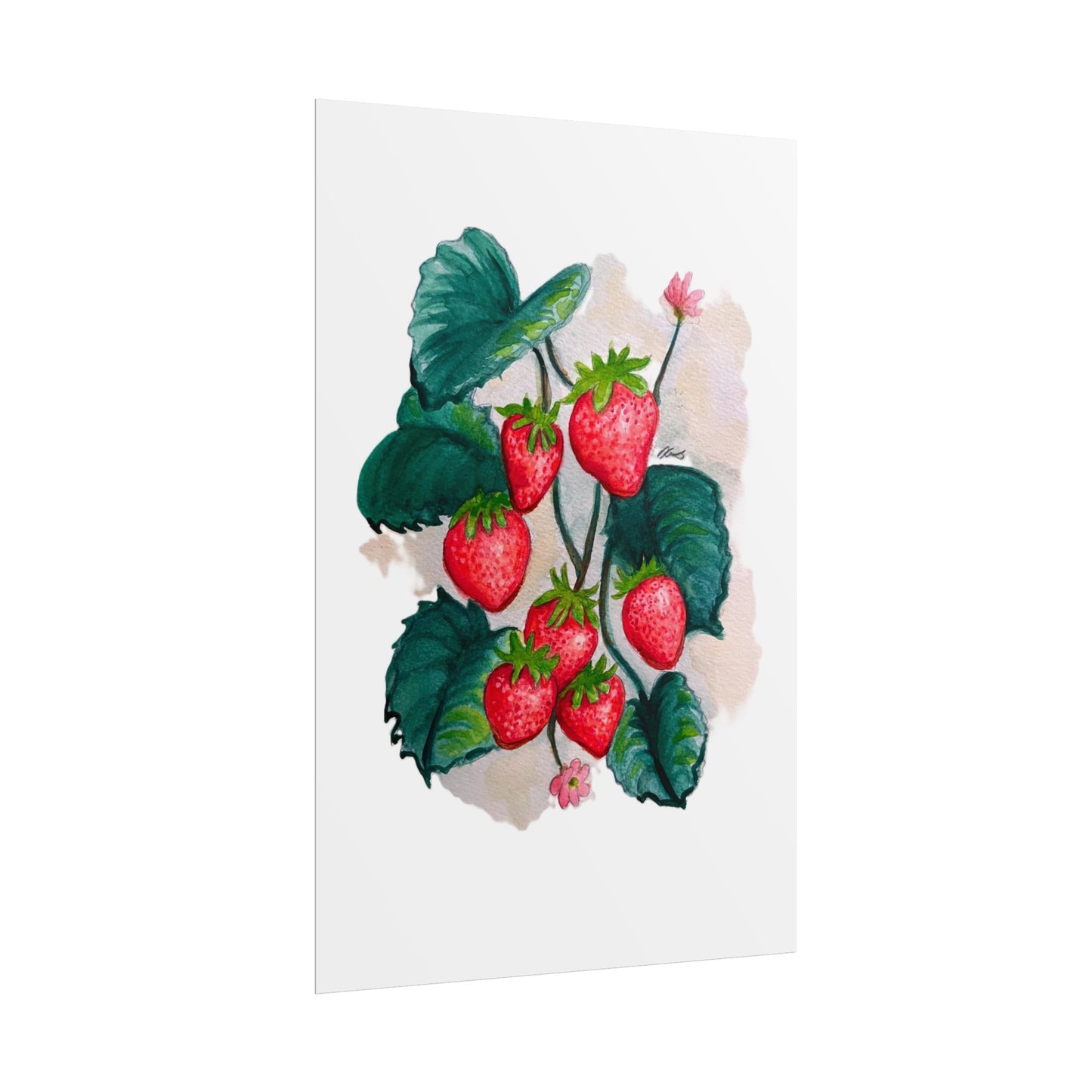 Rolled Posters - Strawberries