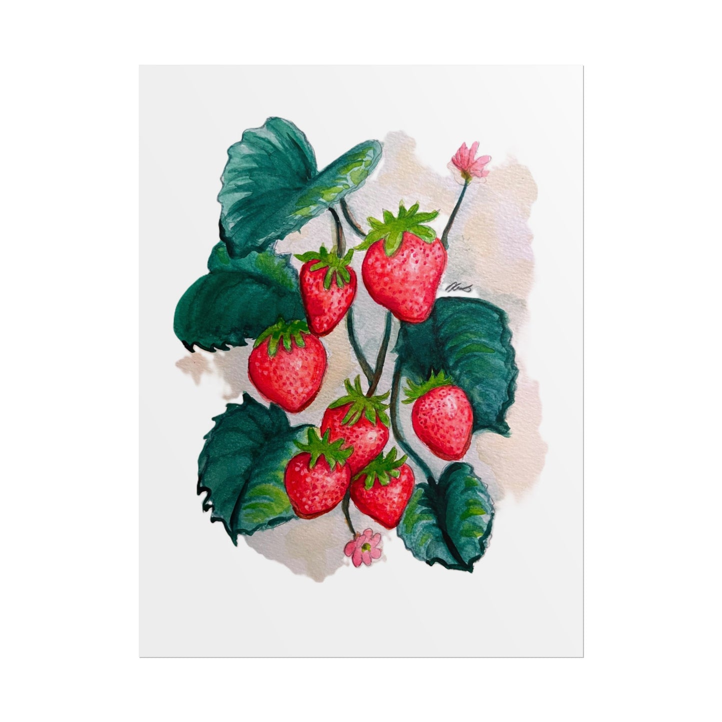 Rolled Posters - Strawberries