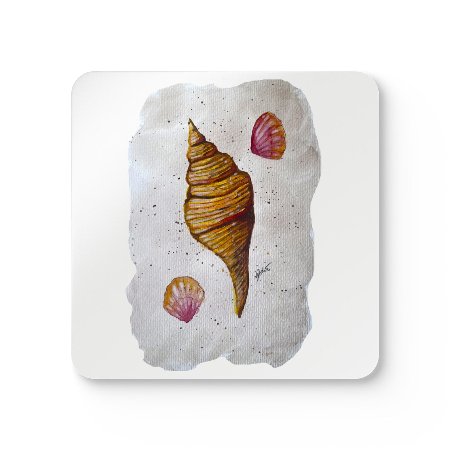 Corkwood Coaster Set - sea shell