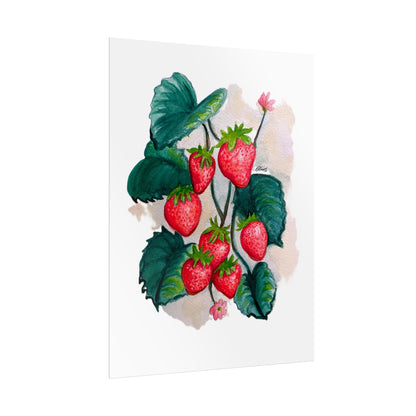 Rolled Posters - Strawberries