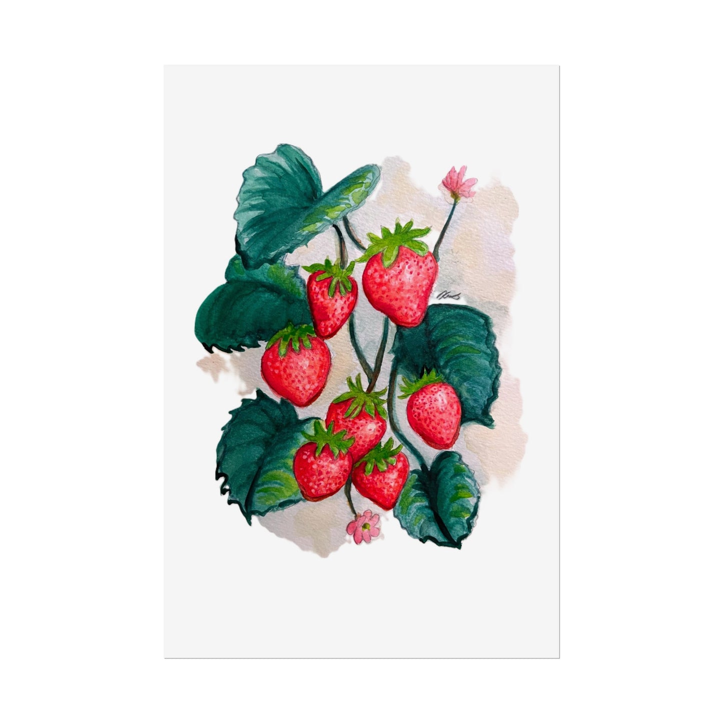 Rolled Posters - Strawberries