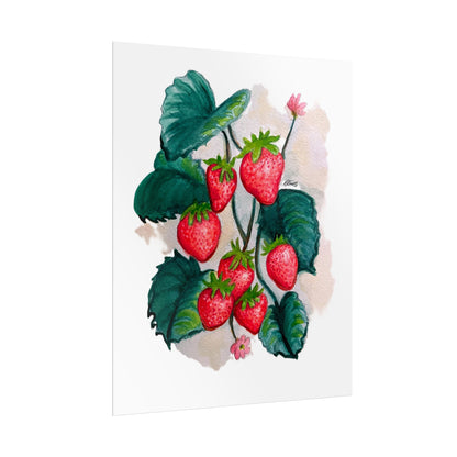 Rolled Posters - Strawberries