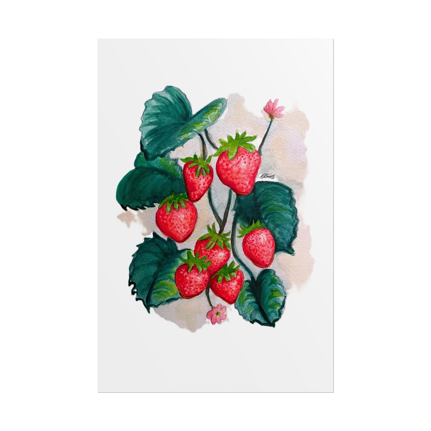 Rolled Posters - Strawberries