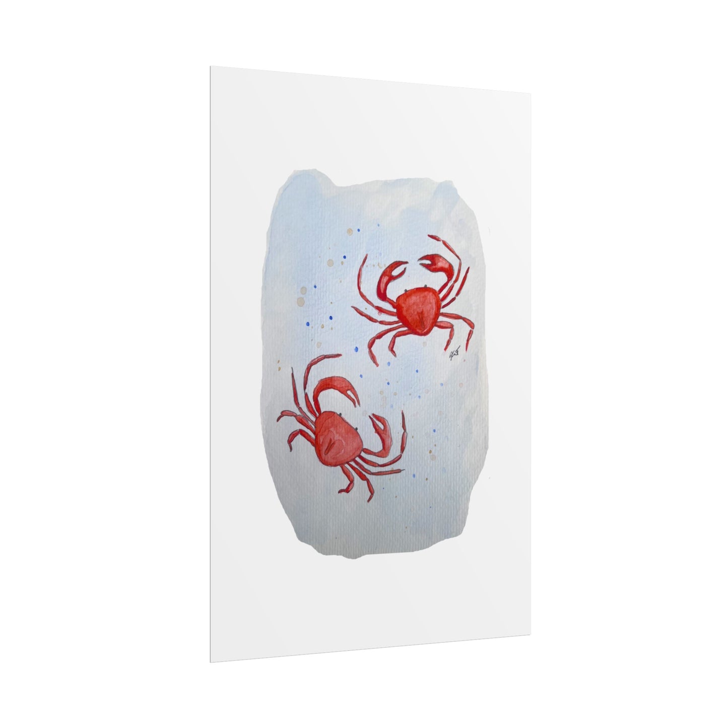 Rolled Posters - Crabs