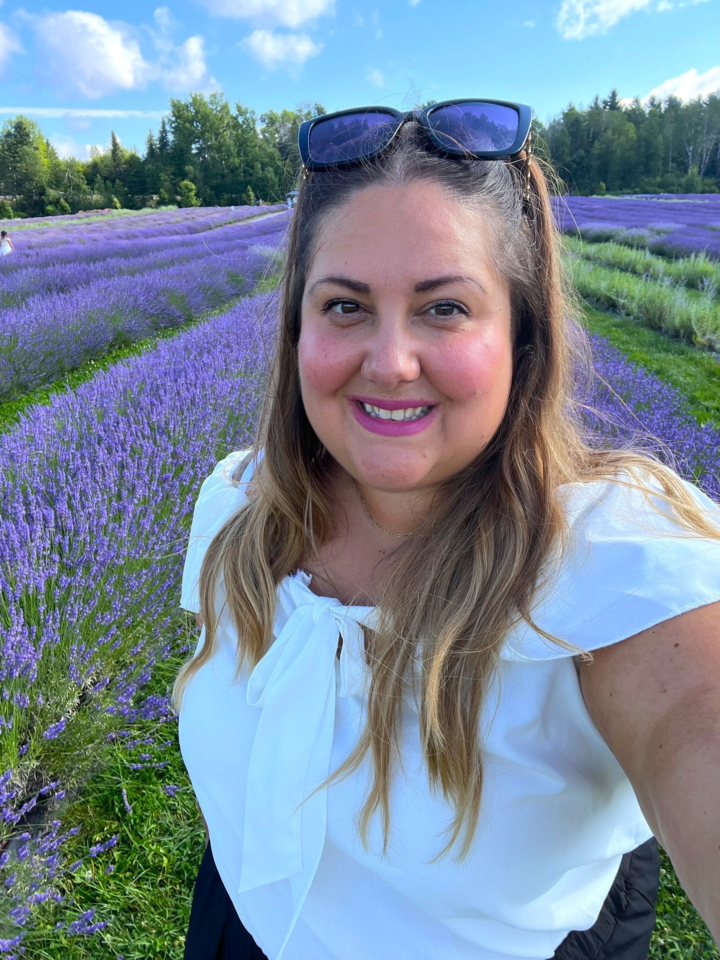 Peinture dans un champ de Lavande🪻Juillet 2026 (liste d'attente)