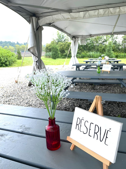 Peinture dans un champ de Lavande🪻Juillet 2026 (liste d'attente)