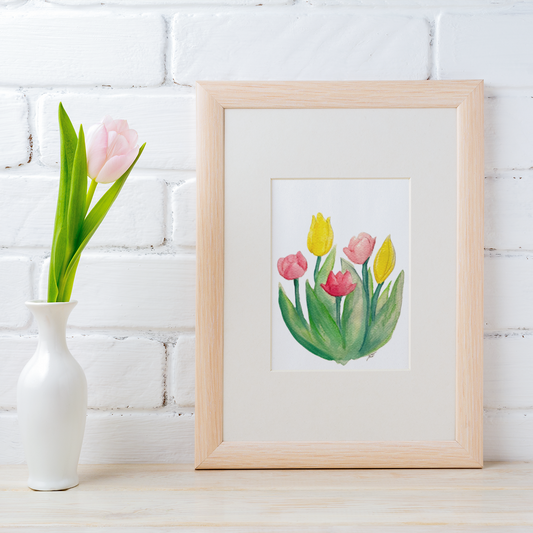 Tulipes